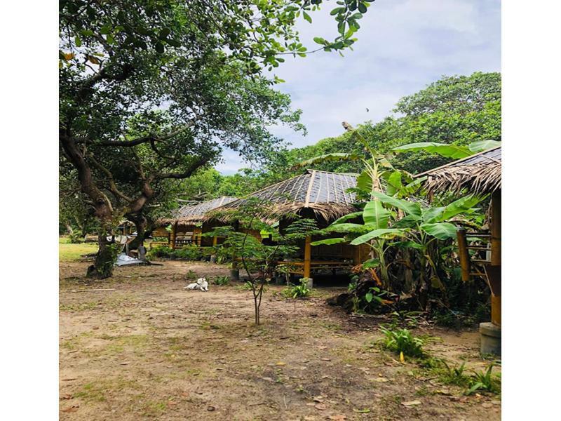 Chalee Tropicana Bungalow Koh Phayam Exteriör bild